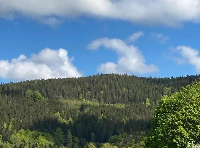 Brcalnik Sumavske Strane Lejlighed